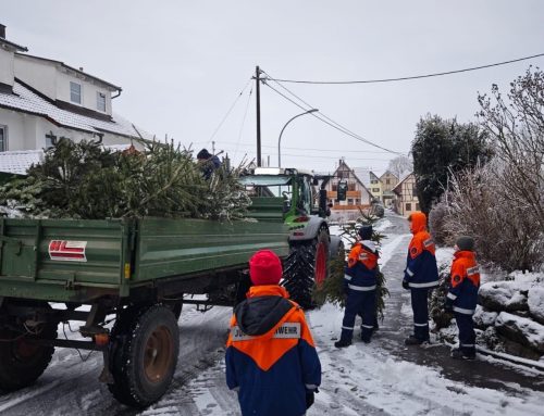 Erfolgreiches Christbaumsammeln der Jugendfeuerwehr Rohrdorf 2026 🎄